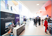 CodeTwo team - gallery - 11