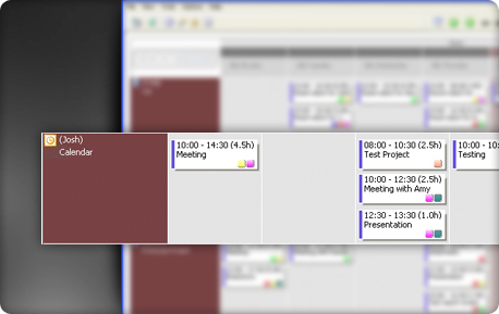 net-calendars-video-plug-1.jpg
